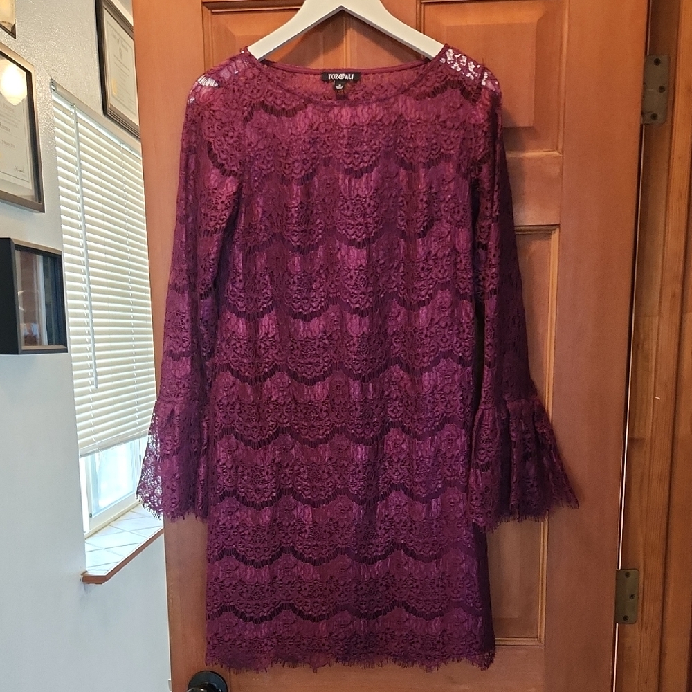 Roz & Ali Lacey Classy Stylish Sheath Dress with Bell Sleeves